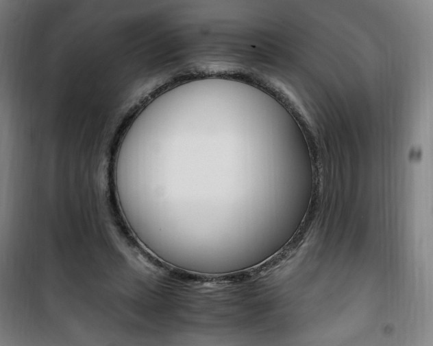 X0000101710447200807101412