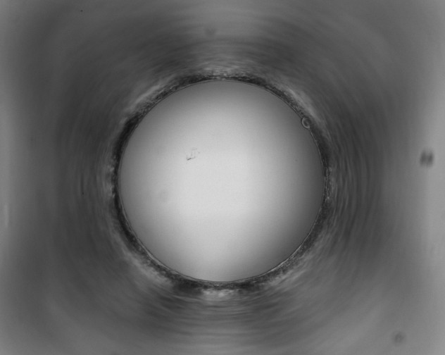 X0000101710450200807101412