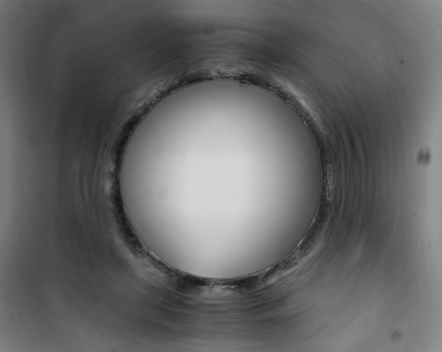 X0000101710451200807101412