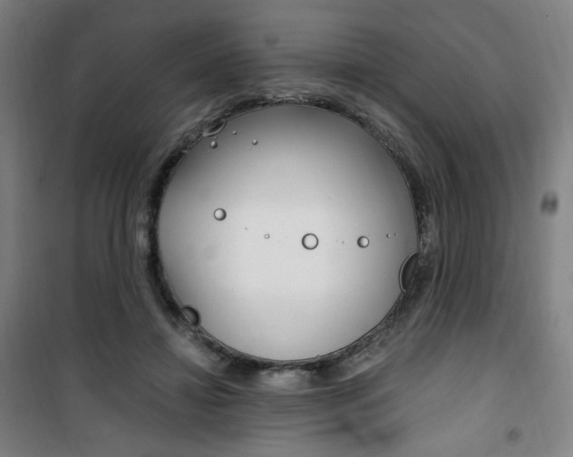 X0000101710452200807101412