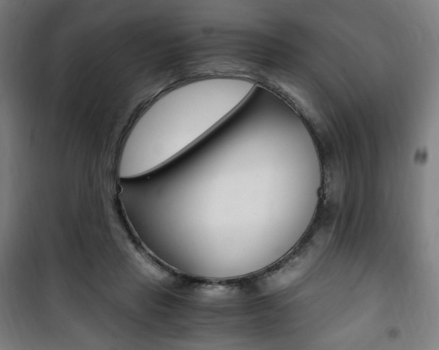 X0000101710453200807101412