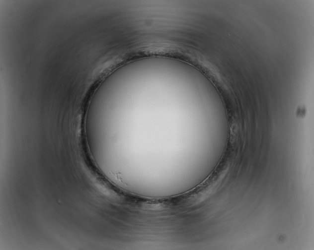 X0000101710454200807101412
