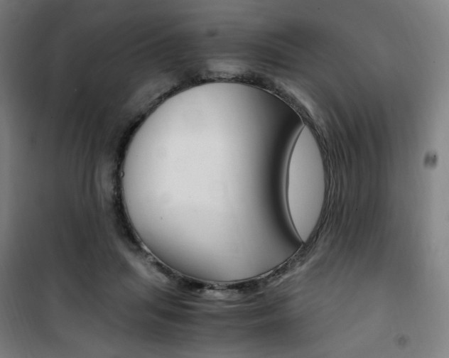 X0000101710455200807101412