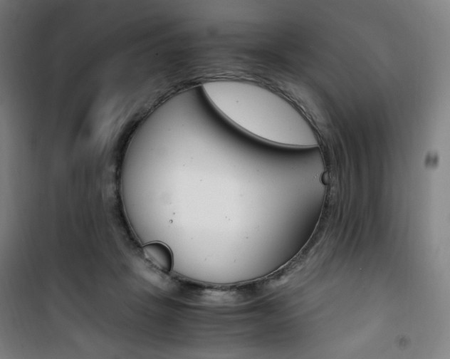 X0000101710457200807101412