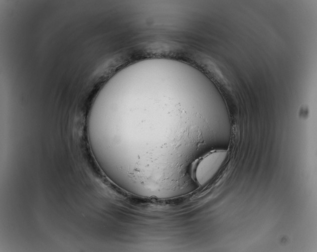 X0000101710458200807101412