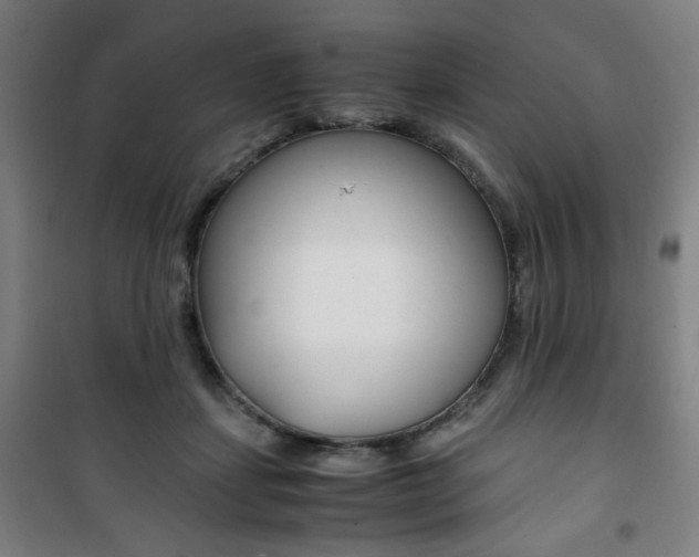 X0000101710459200807101412