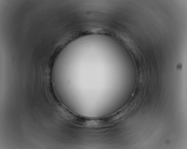 X0000101710461200807101412