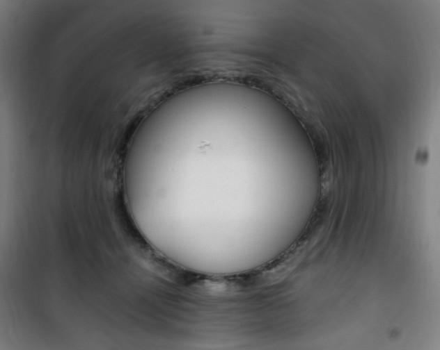 X0000101710464200807101412