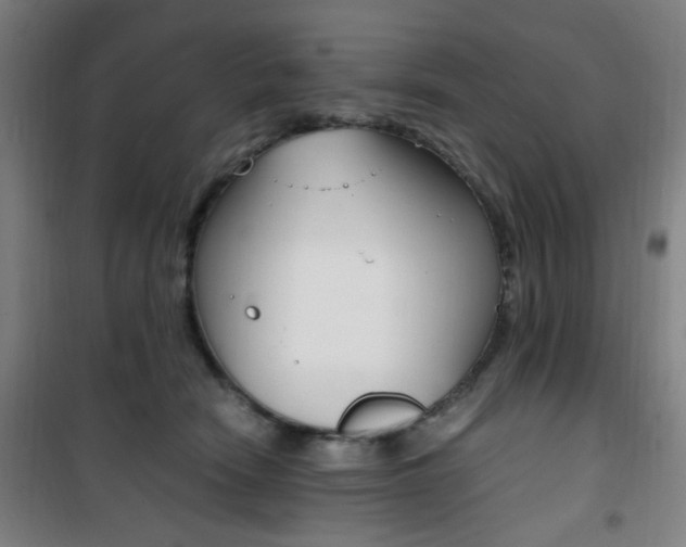 X0000101710466200807101412