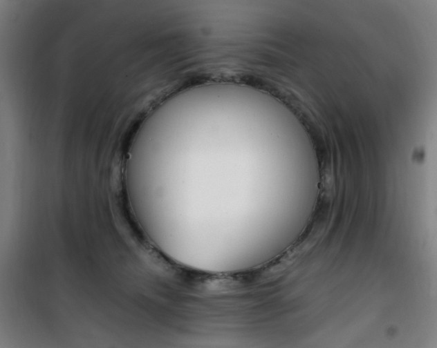X0000101710468200807101412