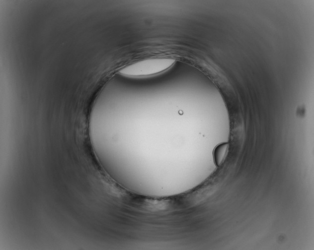 X0000101710469200807101412
