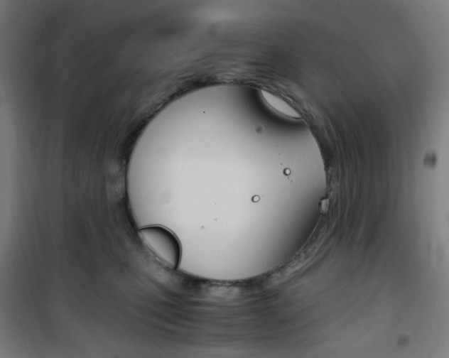 X0000101710471200807101412