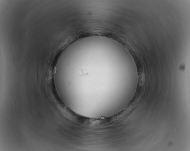 X0000101710472200807101412
