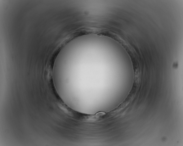 X0000101710474200807101412