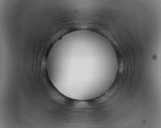 X0000101710476200807101412