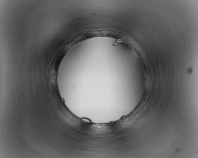 X0000101710477200807101412