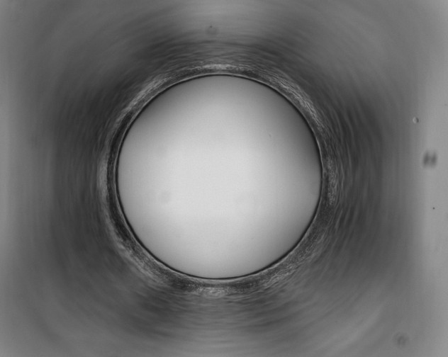 X0000101710482200807101412