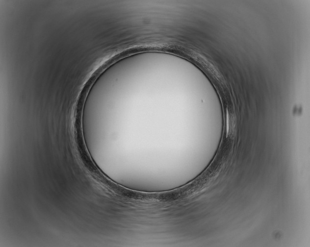 X0000101710483200807101412