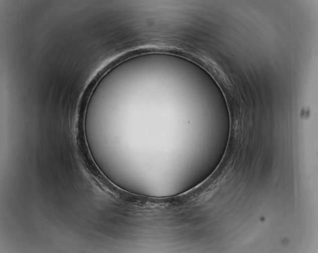 X0000101710484200807101412