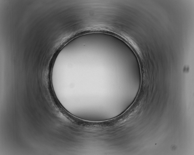X0000101710485200807101412