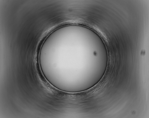 X0000101710486200807101412