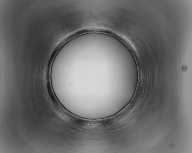 X0000101710487200807101412