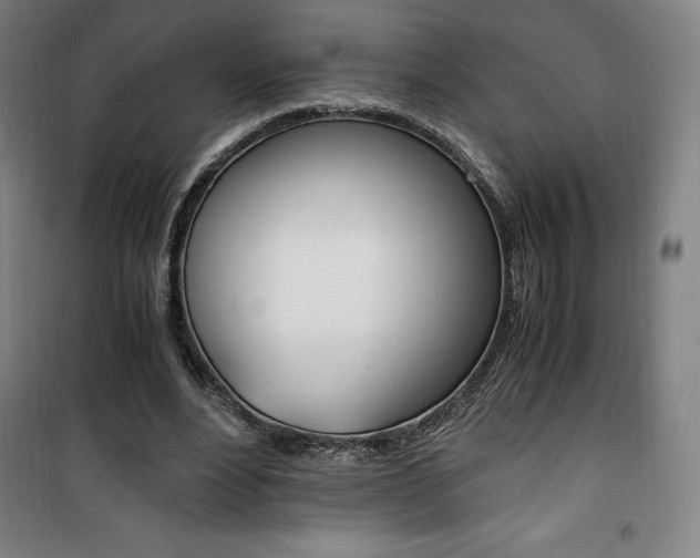 X0000101710488200807101412