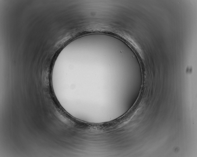 X0000101710489200807101412