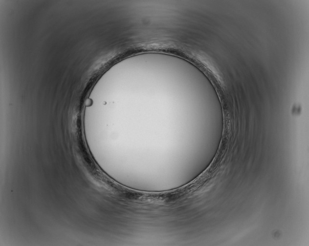 X0000101710491200807101412