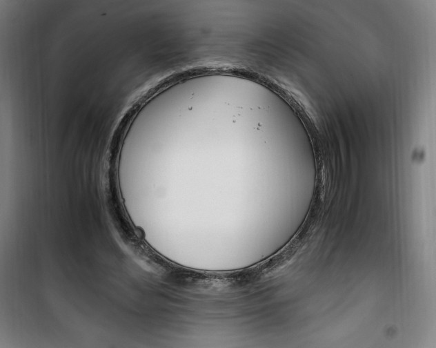 X0000101710492200807101412