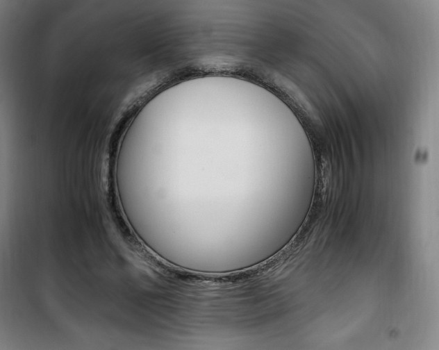 X0000101710494200807101412