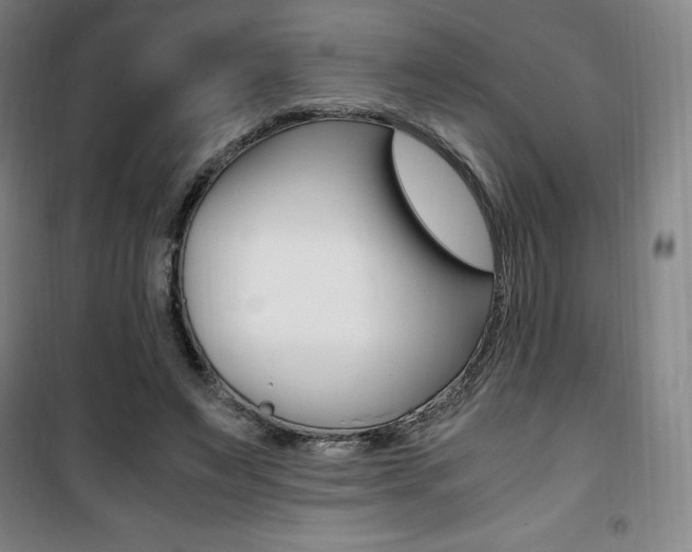 X0000101710495200807101412