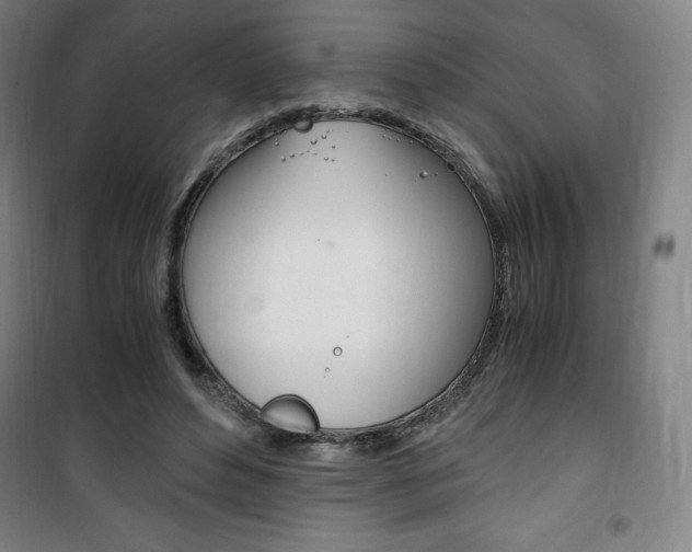 X0000101710496200807101412