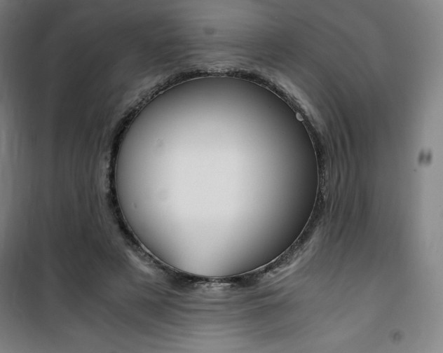 X0000101710497200807101412