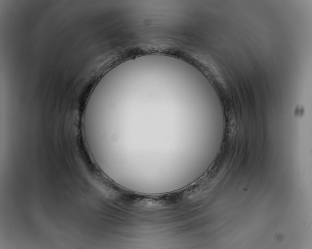 X0000101710498200807101412