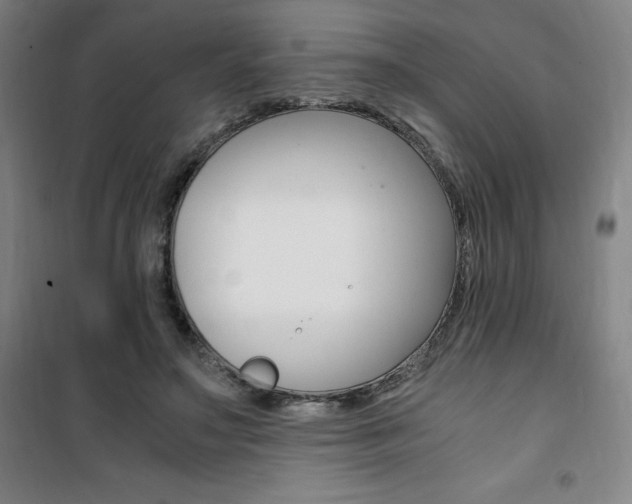 X0000101710499200807101412