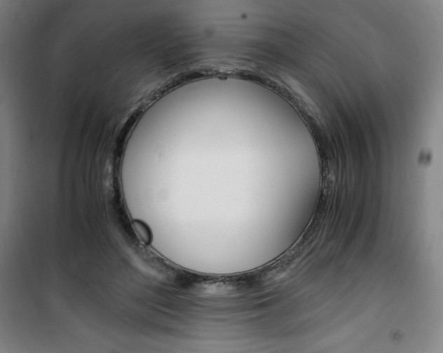X0000101710500200807101412