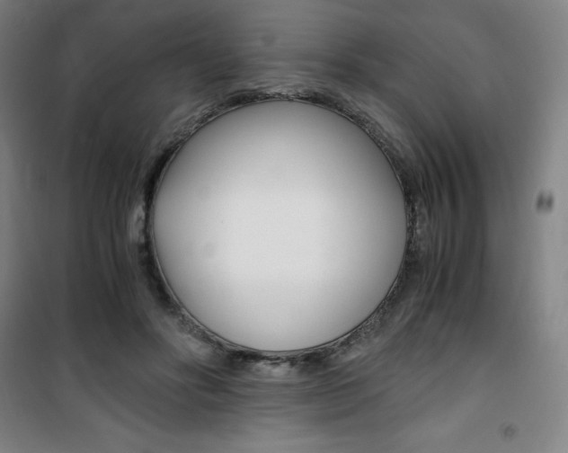 X0000101710502200807101412