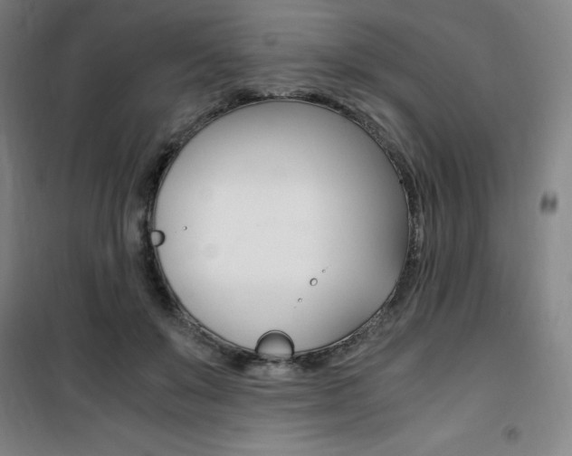 X0000101710503200807101412