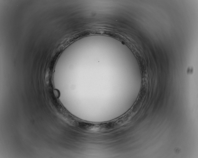 X0000101710504200807101411