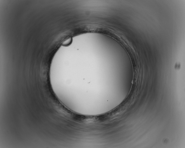 X0000101710505200807101411