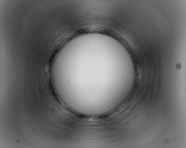 X0000101710506200807101411