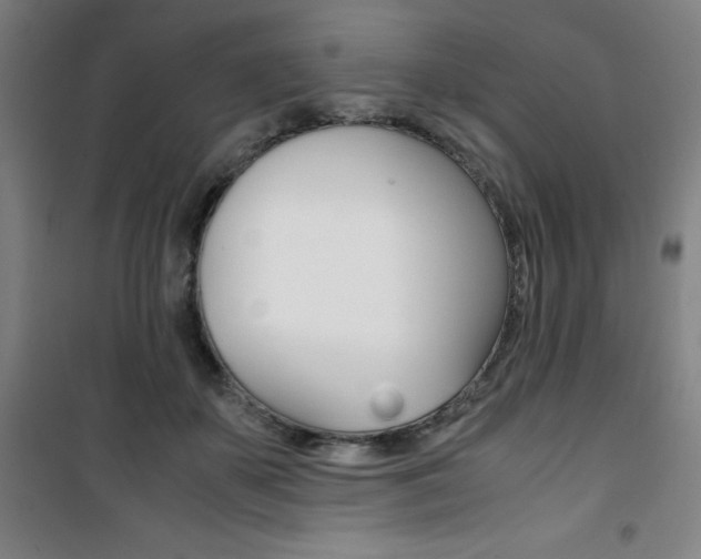 X0000101710507200807101411