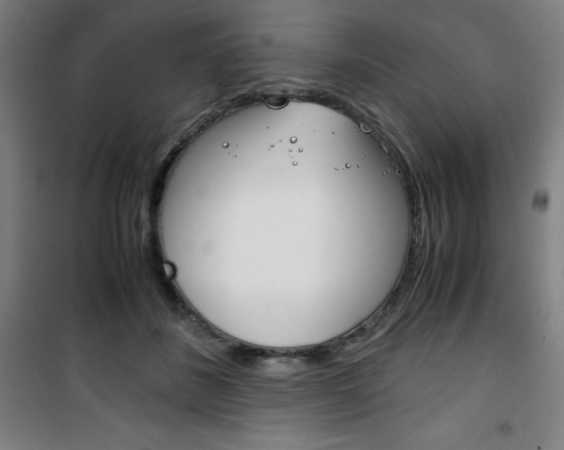 X0000101710508200807101411