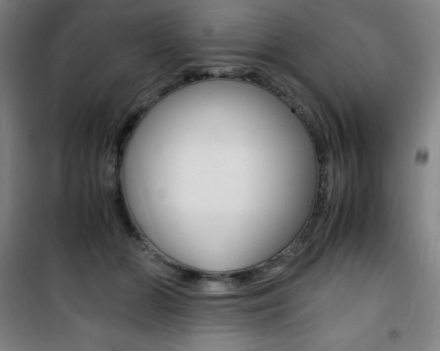 X0000101710510200807101411