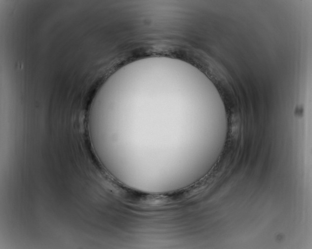 X0000101710514200807101411