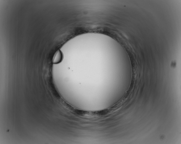 X0000101710515200807101411