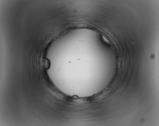 X0000101710516200807101411