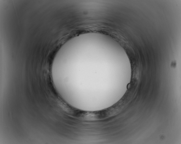 X0000101710518200807101411