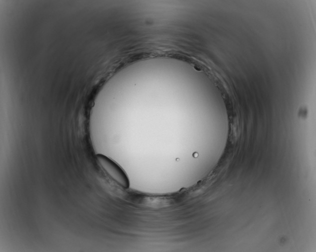 X0000101710520200807101411